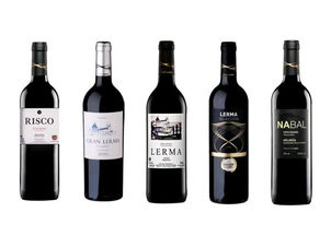 葡萄酒进口全流程解析 从国外货源到国内贸易的一站式服务指南