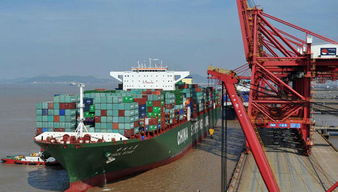 外贸货代人警惕 不当网络技术服务行为或面临刑事拘留风险